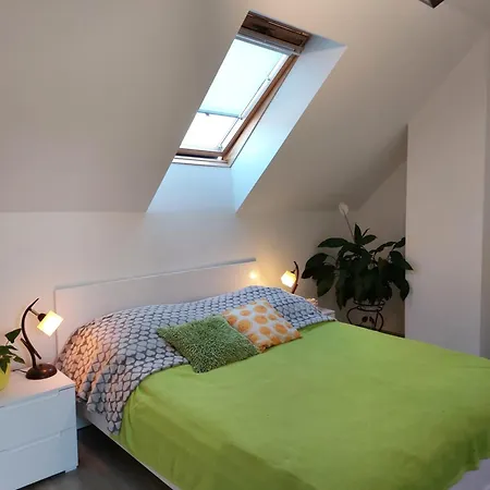 Daire Zubrzycki Zakatek