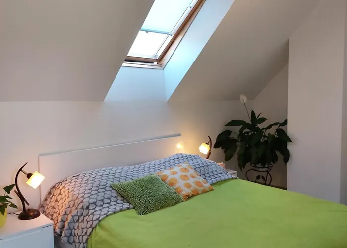 Apartament Zubrzycki Zakątek