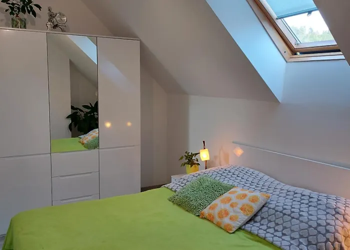 Zubrzycki Zakątek Apartament *